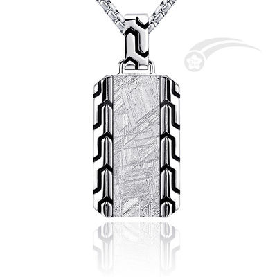 Pendant météorite de fer en acier inoxydable à étiquette de chien pendant 18*30mm