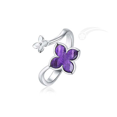 Jeux de météorites de fleurs de lilas