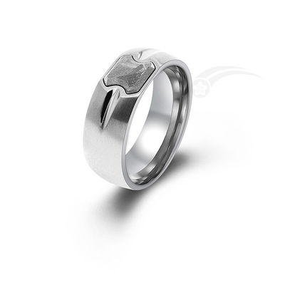 Ringe de météorite solide 8 mm